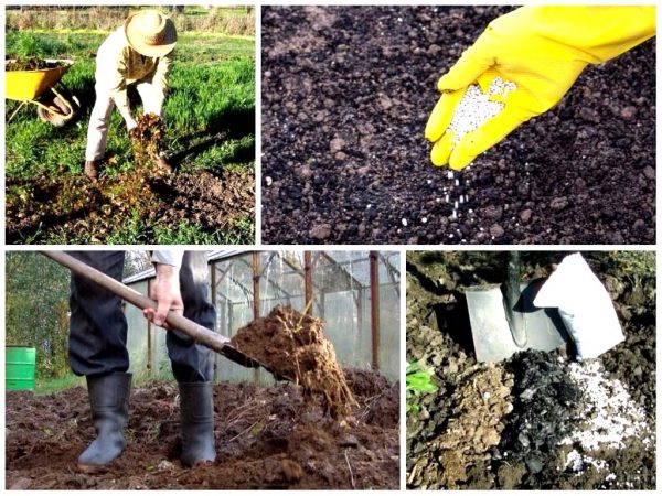 Когда копать огород: осенью или весной