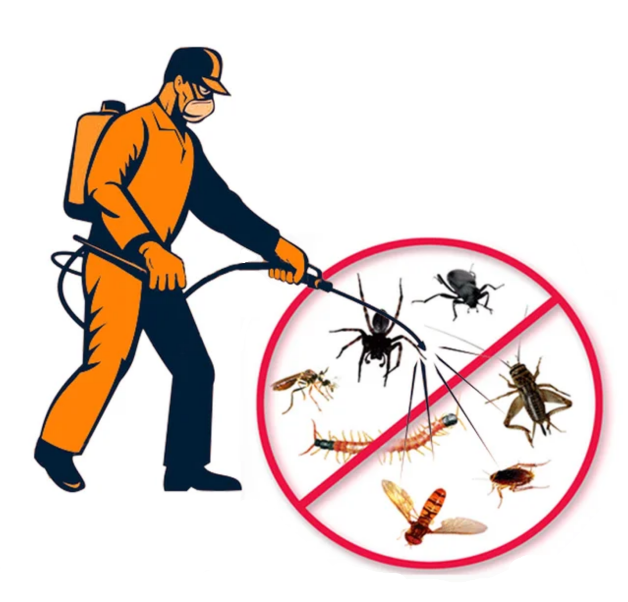 Услуги служб по борьбе с насекомыми: достоинства